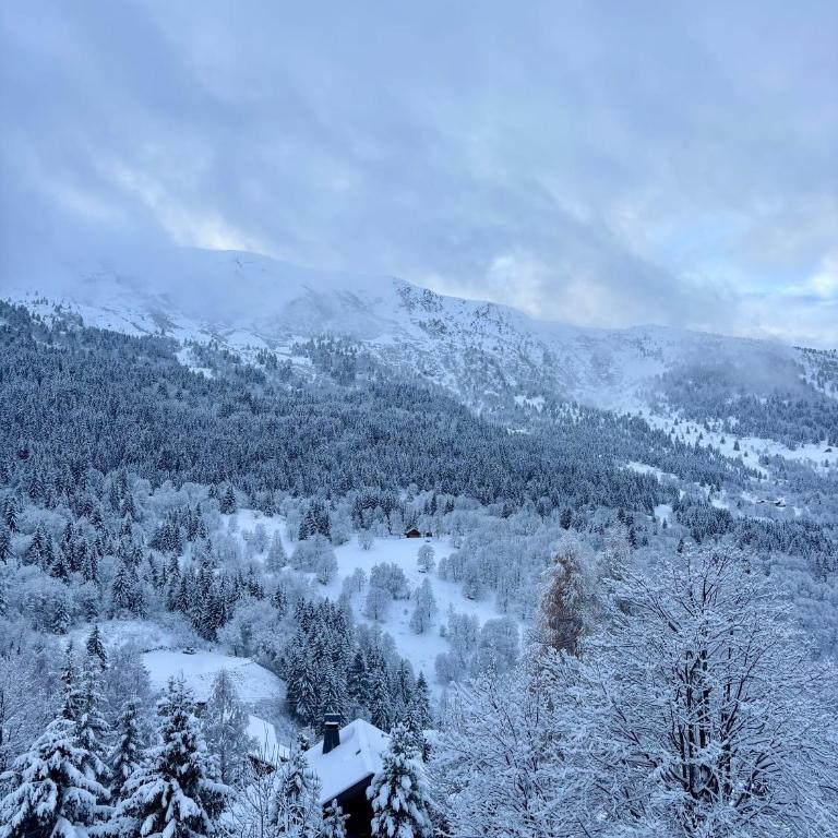 Appartement 4 personnes - Magnifique vue montagne - Appartement 1 Chambre - 26