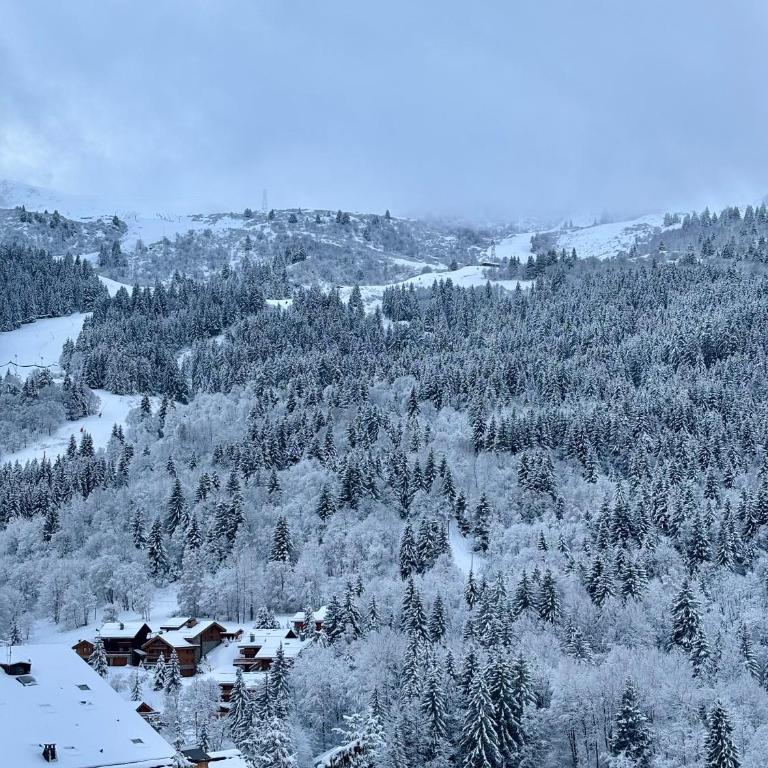 Appartement 4 personnes - Magnifique vue montagne - Appartement 1 Chambre - 17