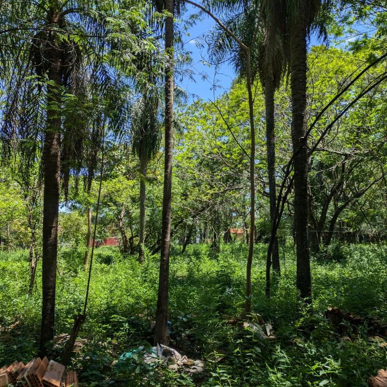 Un Oasis Natural a Minutos de Asunción - Casa de 2 dormitorios - 14