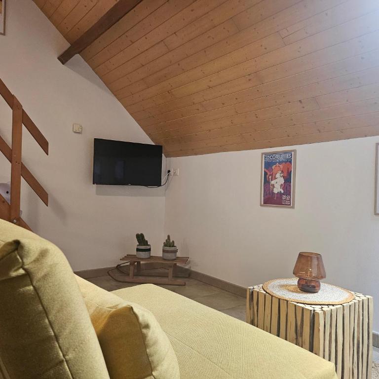 Les mascottes - Appartement 2 Chambres - 9