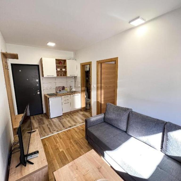 Srebrena Vila apartman 1 Jahorina - One-Bedroom Apartment - 1