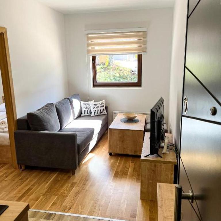 Srebrena Vila apartman 1 Jahorina - One-Bedroom Apartment - 4