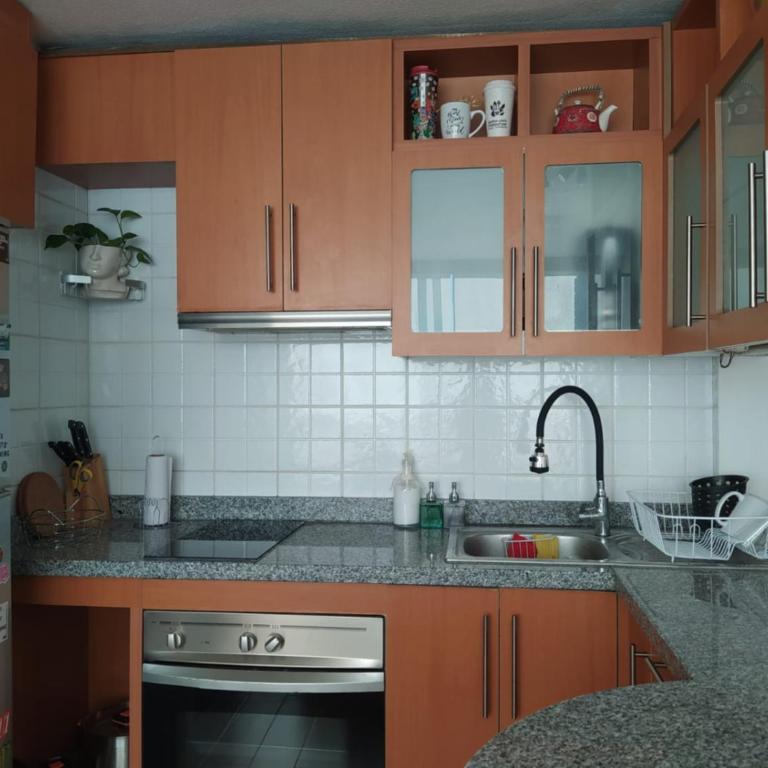 Cómodo departamento en Escuela Militar, Las Condes - One-Bedroom Apartment - 12