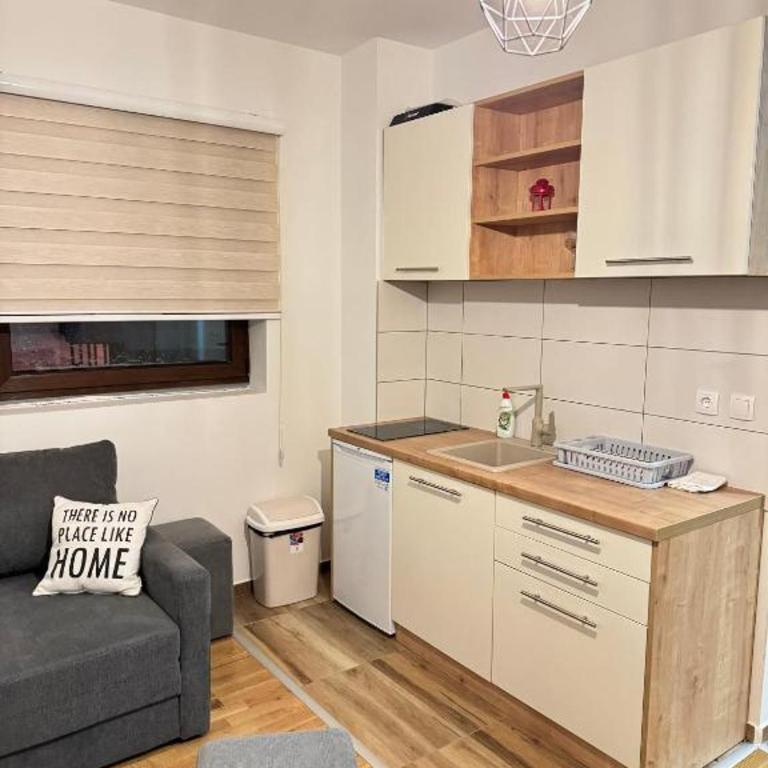 Srebrena Vila apartman 2 Jahorina - One-Bedroom Apartment - 8