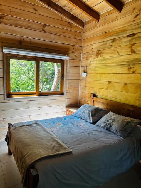 K m 6 River Lodge - Chalet de 2 dormitorios - 10