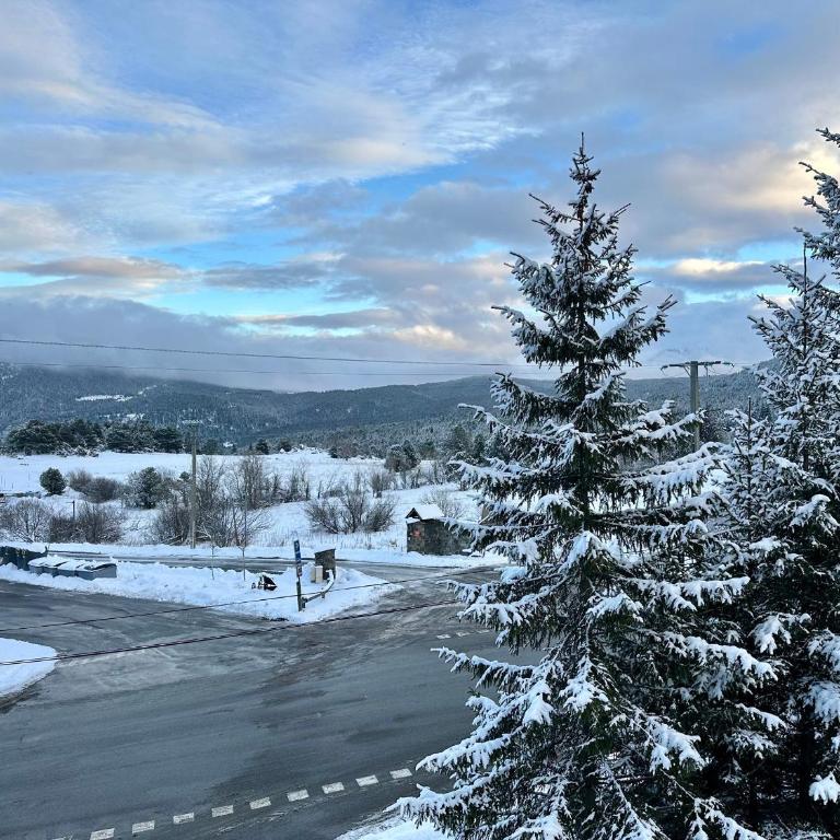 Les Angles : Haut de Chalet 100m², Sauna, 6 Pers - FR-1-758-11 - Apartment - 15