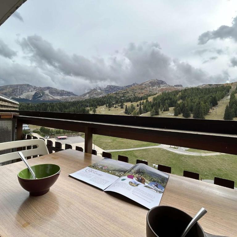 Studio cosy pour 4 pers. à 50m des pistes avec Wi-Fi et parking, Le Dévoluy - Appartement 1 Chambre - 10