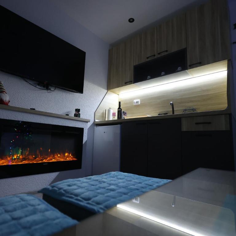 Villa Strahinja Lux Jahorina - One-Bedroom Apartment - 4