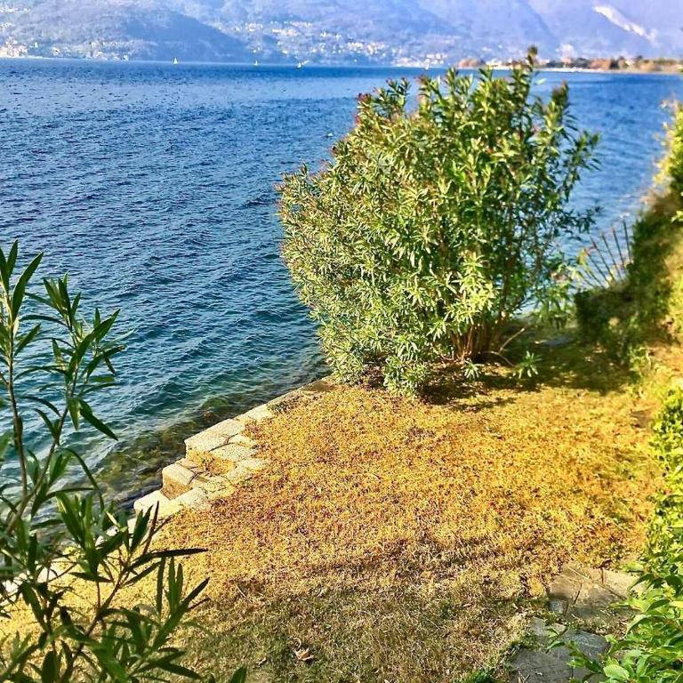 On Lake Villa Cicci e Sandro - Villa con 3 Camere da Letto - 17