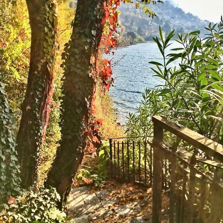 On Lake Villa Cicci e Sandro - Villa con 3 Camere da Letto - 18