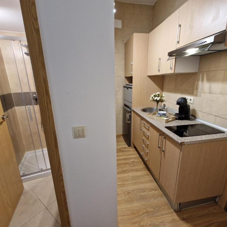 Apartamentos San Isidro - One-Bedroom Apartment with Balcony and City View - 2