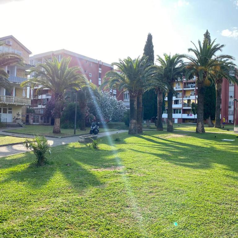 Kali - One-Bedroom Apartment - 1