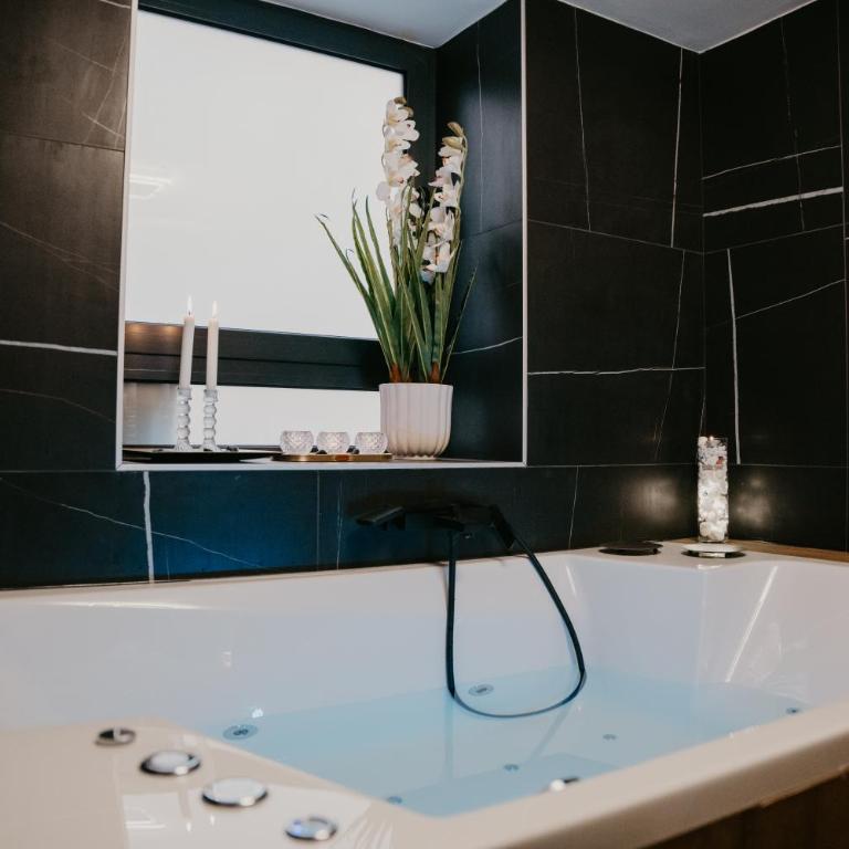 Zapato Apartment Tuzla - Apartman sa 1 Spavaćom Sobom - 4