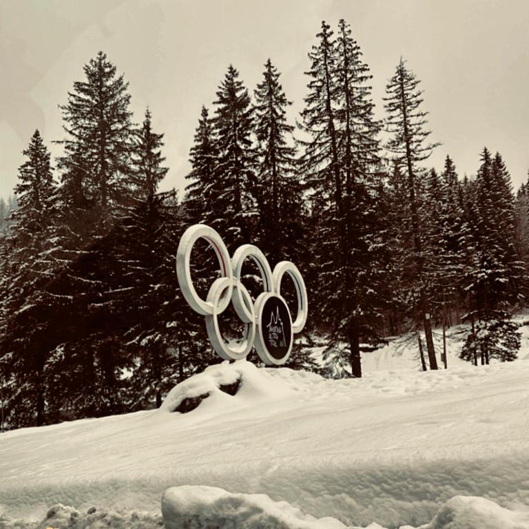 Beggy Jahorina - Apartman sa 1 Spavaćom Sobom - 16