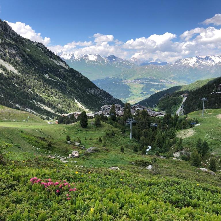 Grande Marmotte, Ski aux pieds, Le Refuge du Montagnard, Arc 1950 - Apartment mit 2 Schlafzimmern - 72