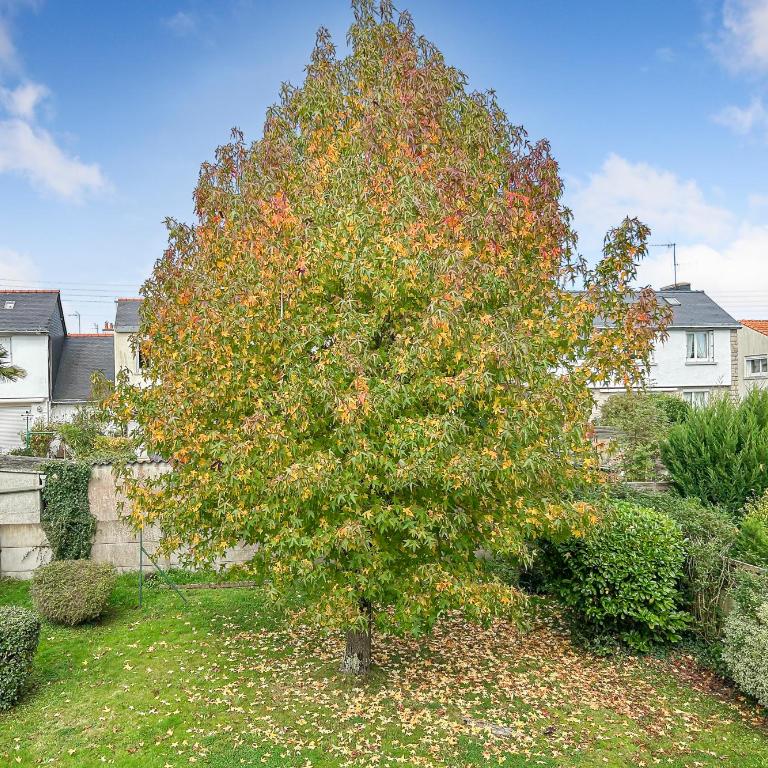 Maison Rivage - 5min Plage - Jardin & Terrasse - Charme Authentique - Parking et Wifi -Netflix - Maison 3 Chambres - 42