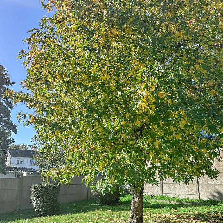 Maison Rivage - 5min Plage - Jardin & Terrasse - Charme Authentique - Parking et Wifi -Netflix - Maison 3 Chambres - 43
