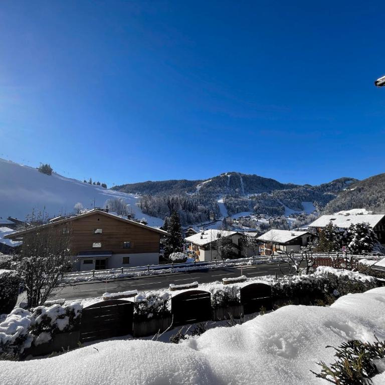 Biblos 15 - 2 pieces proche pistes - Apartment mit Balkon - 2