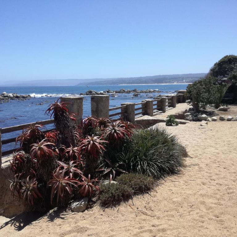 Casa Colonial primera linea frente al mar - Three-Bedroom House - 19