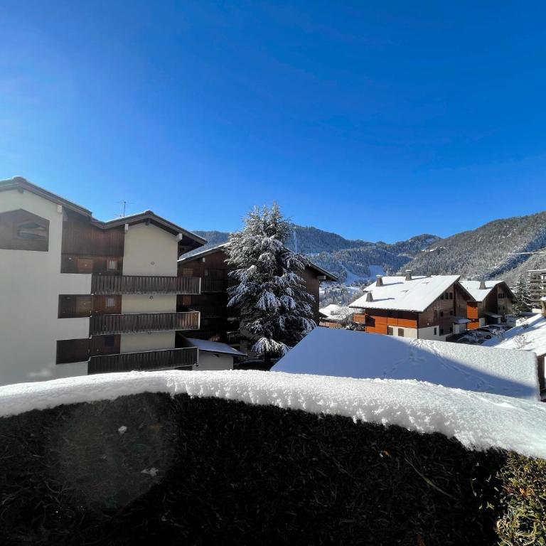 CYBELE C1 appartement proche village et pistes - Apartment with Mountain View - 3