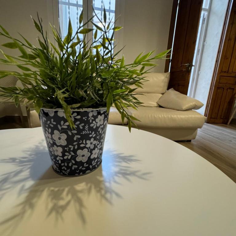 Casa del Pasaje San Fernando - Apartamento - Planta baja - 29