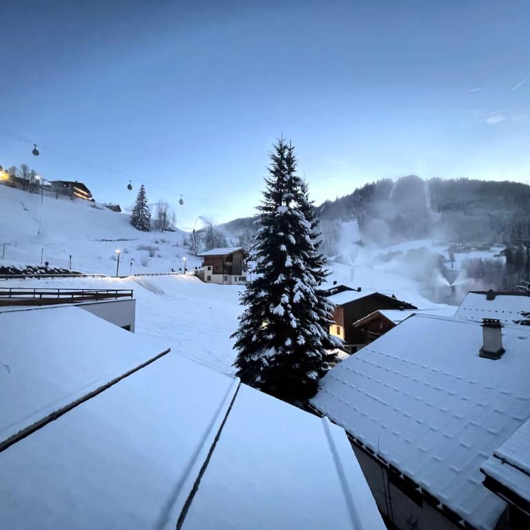 OURS POLAIRE bel appartement village et pistes - Apartamento Deluxe - 8