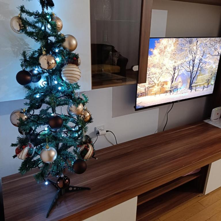 Aleksandrija Pale - One-Bedroom Apartment - 4