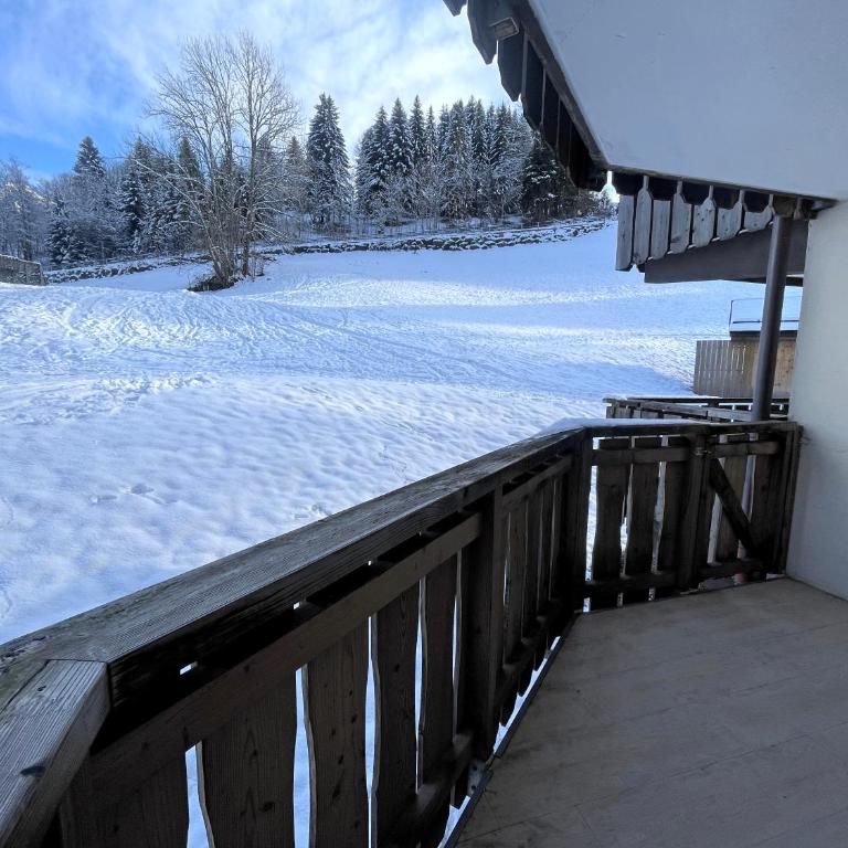 Parnasse 413 - Appartement centre - Standard Apartment - 3