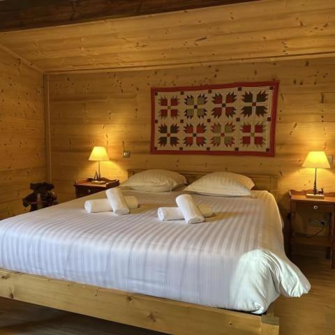 Chalet des Belles Roches, 14 pers, garden, sauna - Chalet - 22
