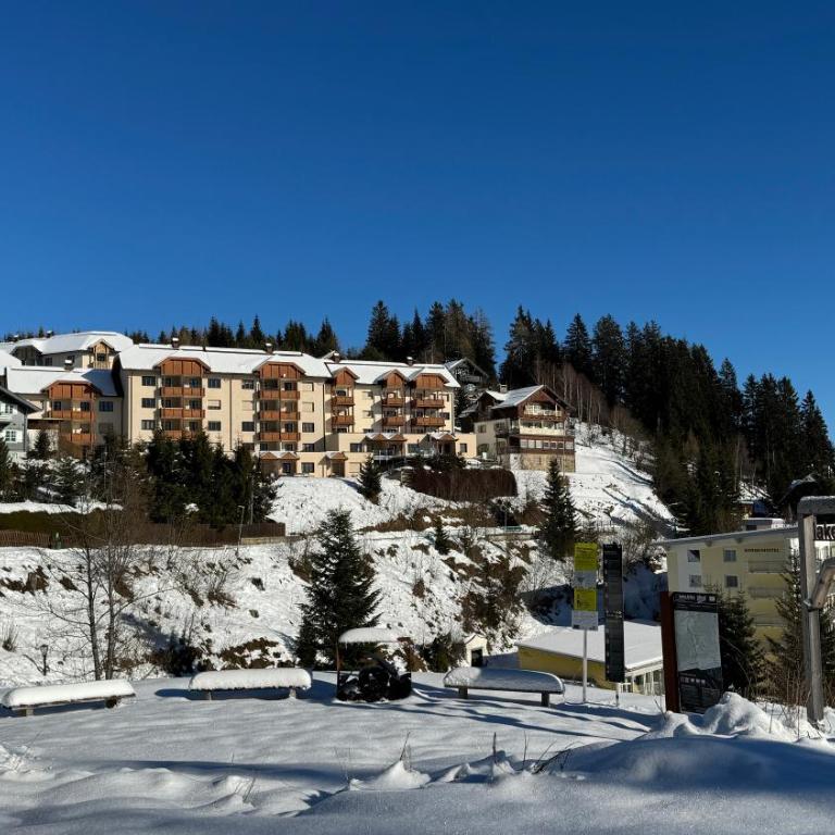 Gemütliches Apartment - Kanzelhöhe - Gerlitzen - Apartment mit 1 Schlafzimmer - 9