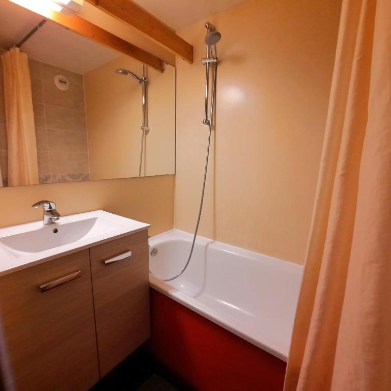 Studio cabine 4 pers, balcon, proximité télécabine, Preyerand - FR-1-452-320 - Studio - 12