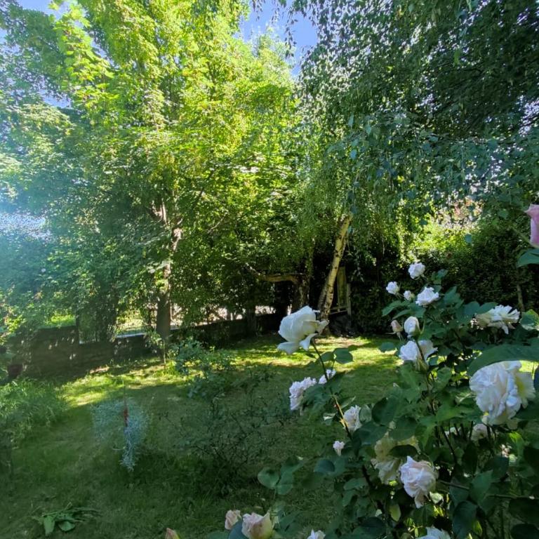 Luminoso monoambiente en Cerro Otto - Apartamento de 1 dormitorio - 6