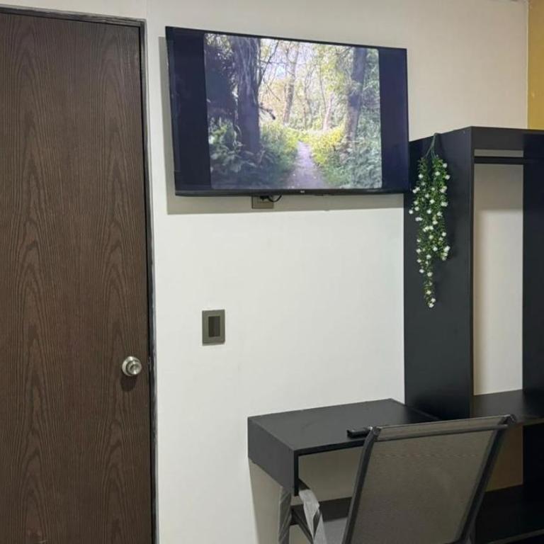 Durango X - One-Bedroom Apartment - 5