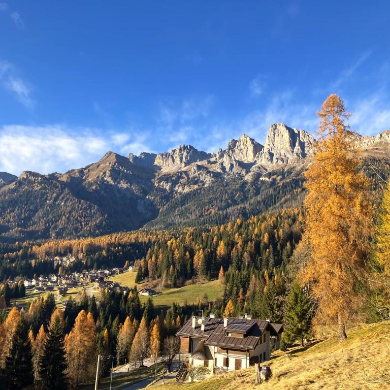 Appartamento Dolomiti Dream 1 - Appartamento con 1 Camera da Letto, Balcone e Vista Montagna - 19
