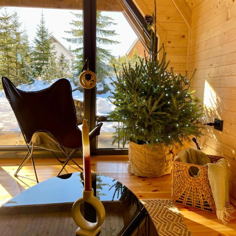 Mountain homes Durmitor 3 - Two-Bedroom Villa - 34