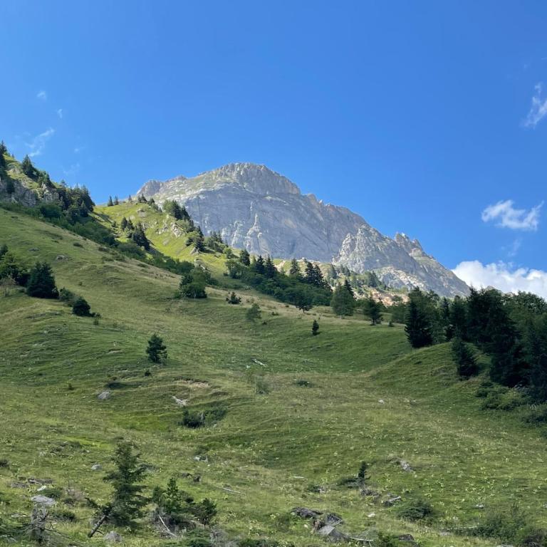 Bel appartement proche pistes et randonnées - Appartement 2 Chambres avec Vue sur la Montagne - 14