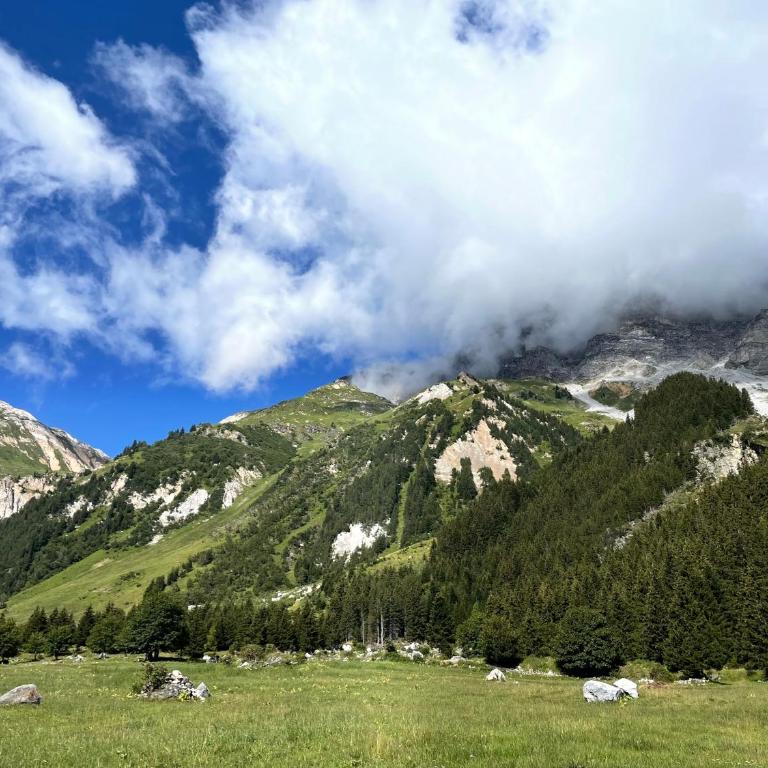 Bel appartement proche pistes et randonnées - Appartement 2 Chambres avec Vue sur la Montagne - 29