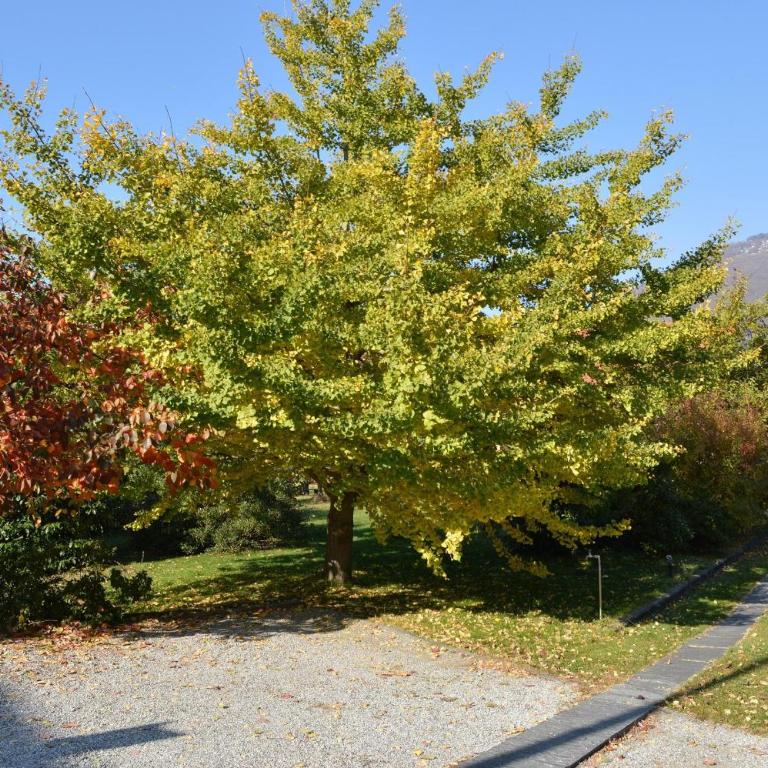 Tista by Fewotessin - Appartamento con Balcone - 20