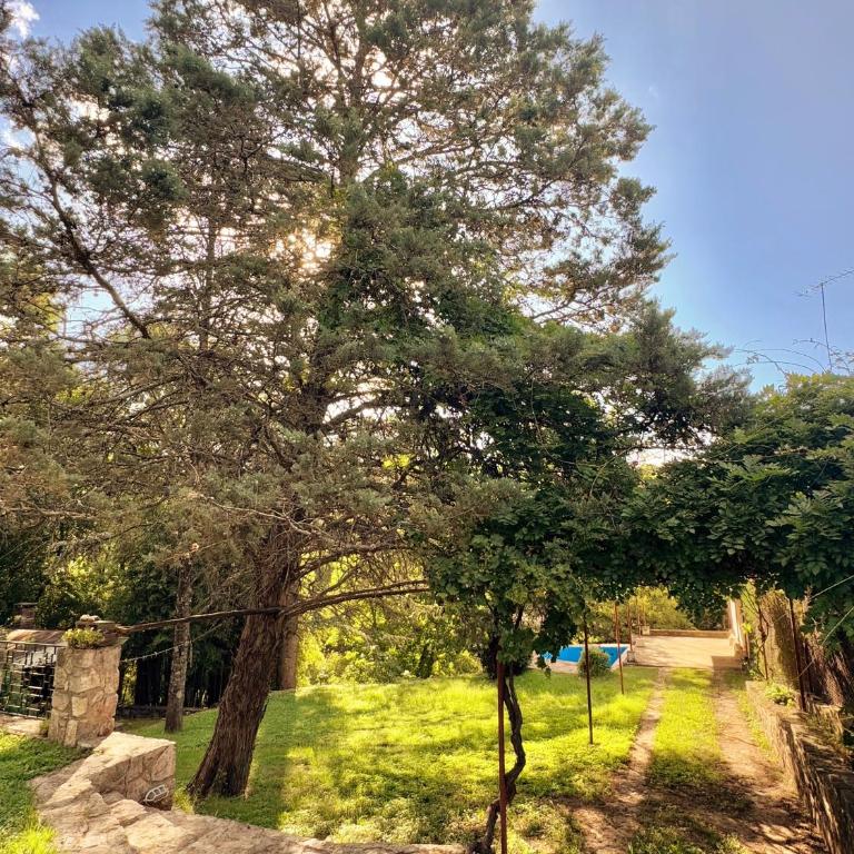 Casa el zorzal Agua de oro - Two-Bedroom House - 6