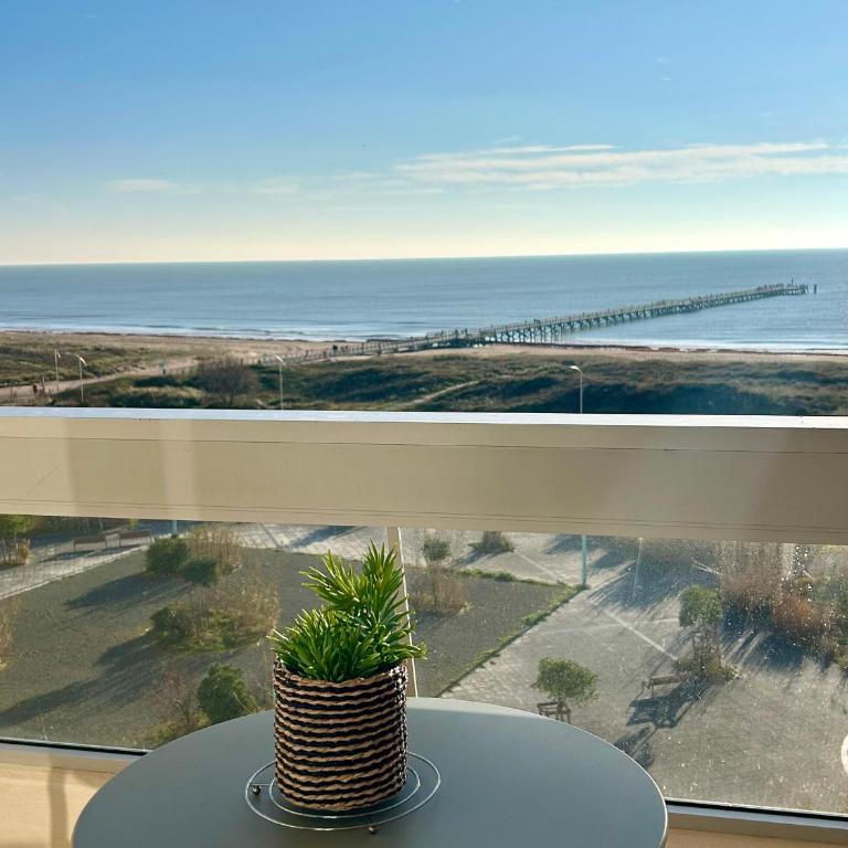 Studio confortable avec vue mer, animaux acceptés - FR-1-652-48 - Estudio - 9