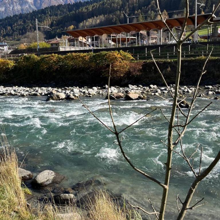 Residence Sole Alto Marillleva 1400 - vista bosco - Appartamento con 2 Camere da Letto - 21