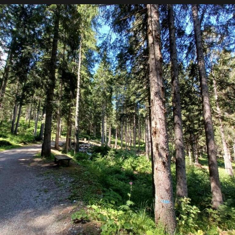 Residence Sole Alto Marillleva 1400 - vista bosco - Appartamento con 2 Camere da Letto - 33