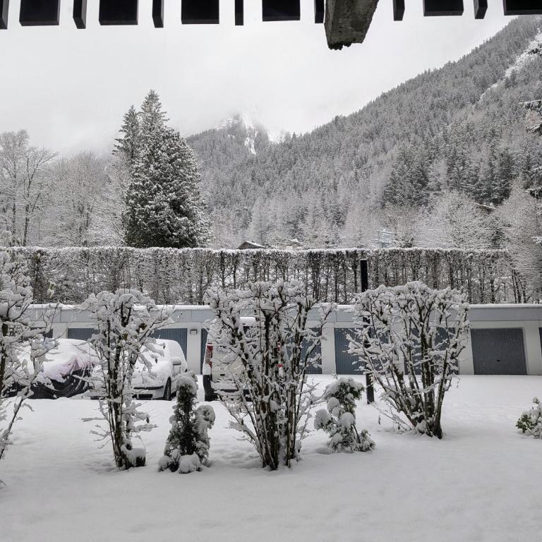 Au Petit Bois - Apartment mit 1 Schlafzimmer - 21