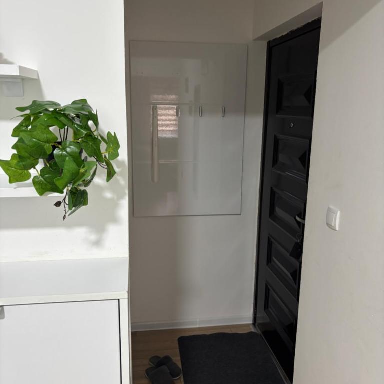 Apartman Mint - One-Bedroom Apartment - 13