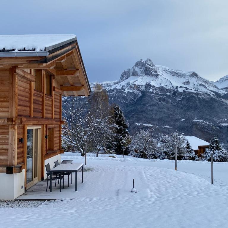 Les Ours de Combloux - Chalet 3 Chambres - 2