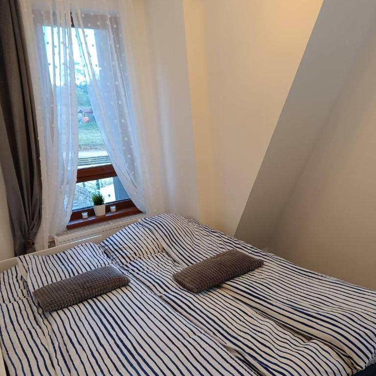 DivčiNova Mina - One-Bedroom Apartment - 15
