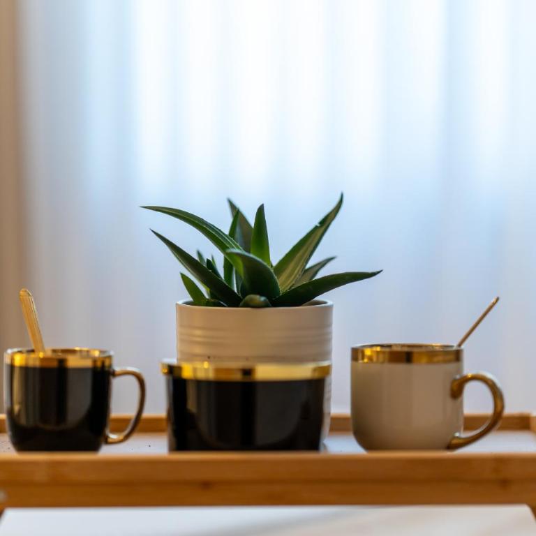 Zlatiborski trenutak Wellness & spa - Apartman sa 2 Spavaće Sobe - 46