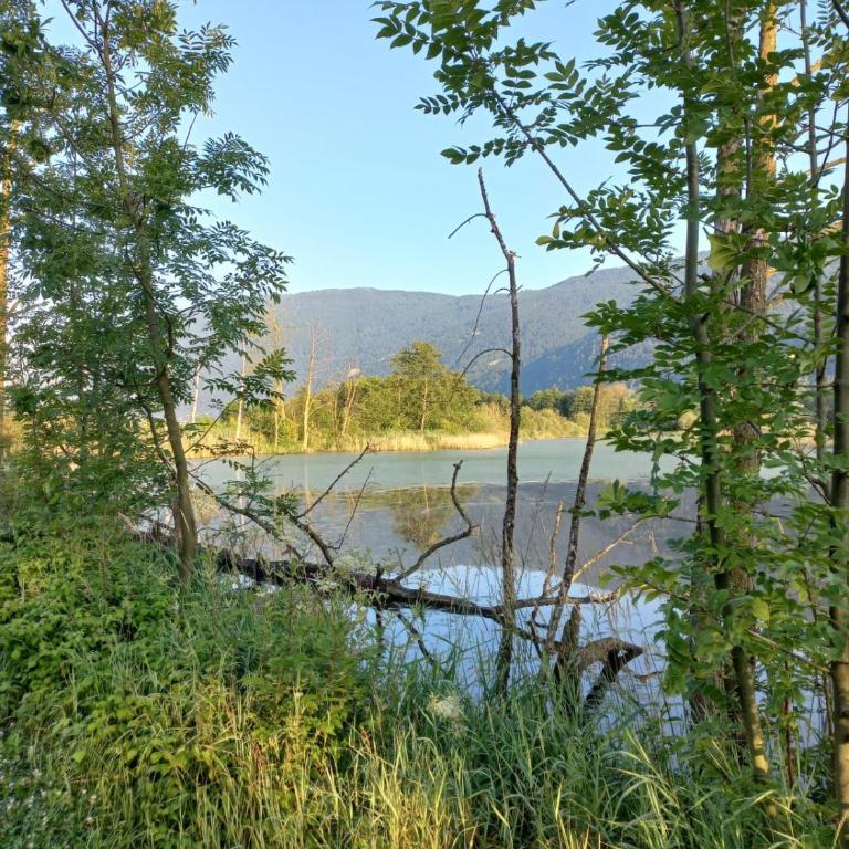Ferienwohnung Resi mit traumhaftem Seepanorama - Apartment - 14
