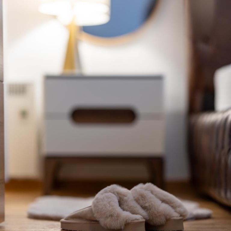 Zlatiborski trenutak Wellness & spa - Apartman sa 2 Spavaće Sobe - 88