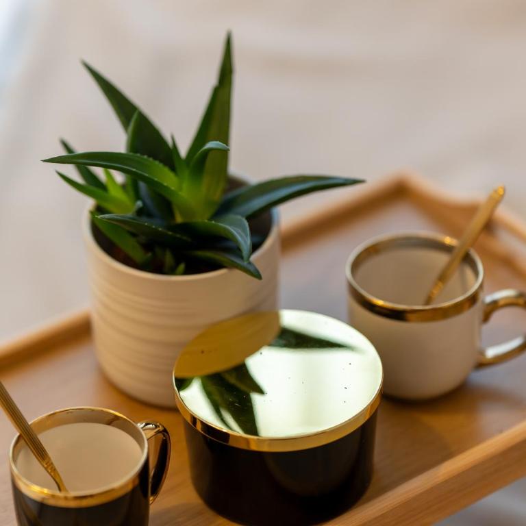 Zlatiborski trenutak Wellness & spa - Apartman sa 2 Spavaće Sobe - 45